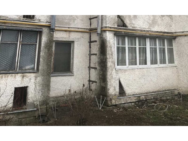 Плесень