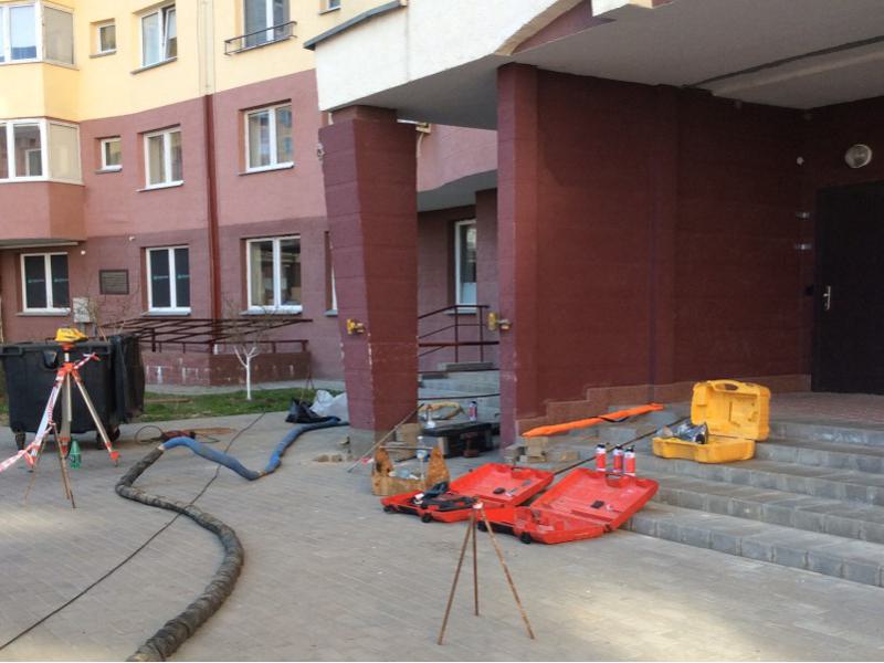Плесень